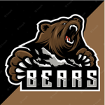 The Crazy Bears Dojo
