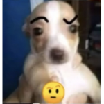 pinkladygamr