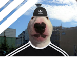 os corn da noite >:3
