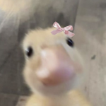 For you to be yourself squad