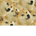Doge Army ...