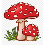 the mushroom squad :>