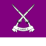 [EIRE] 1st Infantry Battalion