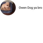 Owen dog ya bro fan group