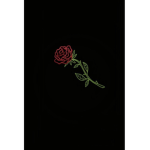 Read Roses