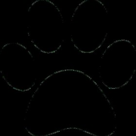 Republic Of Paws Camp