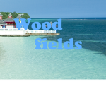 Wood fields