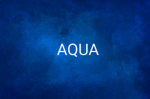 AQUA STUD'S
