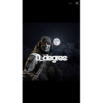 XDegreeX