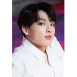 Bts army and Blackpink blink