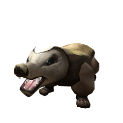 Badger