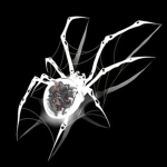 Arachnid | クモ綱