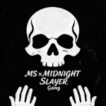 Midnight Slayer x (MS)