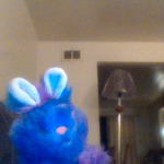 Galaxy Bunny Gang