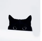 Jobsjobs Group Thumbnail