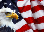 THE.GOVERMENT
