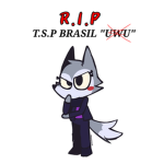 T.S.P Brasil UwU