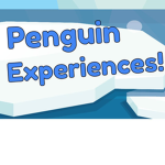 Penguin Experiences!