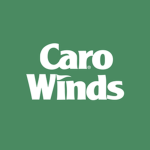 Carowinds Construction LLC