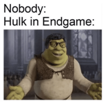 Top Rate Memes