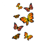 . butterflies .