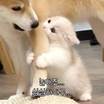 나나의 게임방 친구들