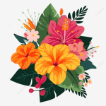 The Birds of Paradise [BoP]