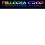 TELLROIA CORP