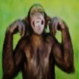 Monkey Obby
