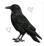 Crow Lover Gang