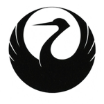 Japan Airlines Virtual