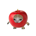 Apfel Group