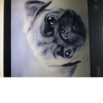 Welcome to the pug army