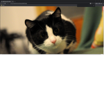 the happy kitty