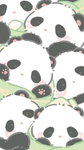 Pretty Panda