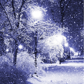 Winter