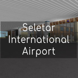 Seletar International Airport