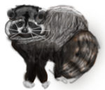 Vovv