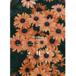 Dina_queen111
