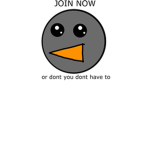 The Pigeon Community