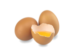 Egg Departament