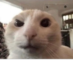 XxTeddySquadxX
