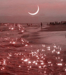 Xxlittlemoonxxgroup<3