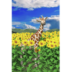 *(=Sunflower Squad=)*