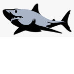 SharksAreLife Production