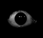 Dr Vision's Group