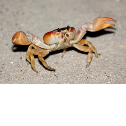 Crab Rave Simulator
