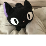 Kitty new night
