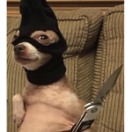 Hi mom ur a noob