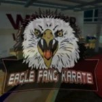 Eagle Fang Karate Saga